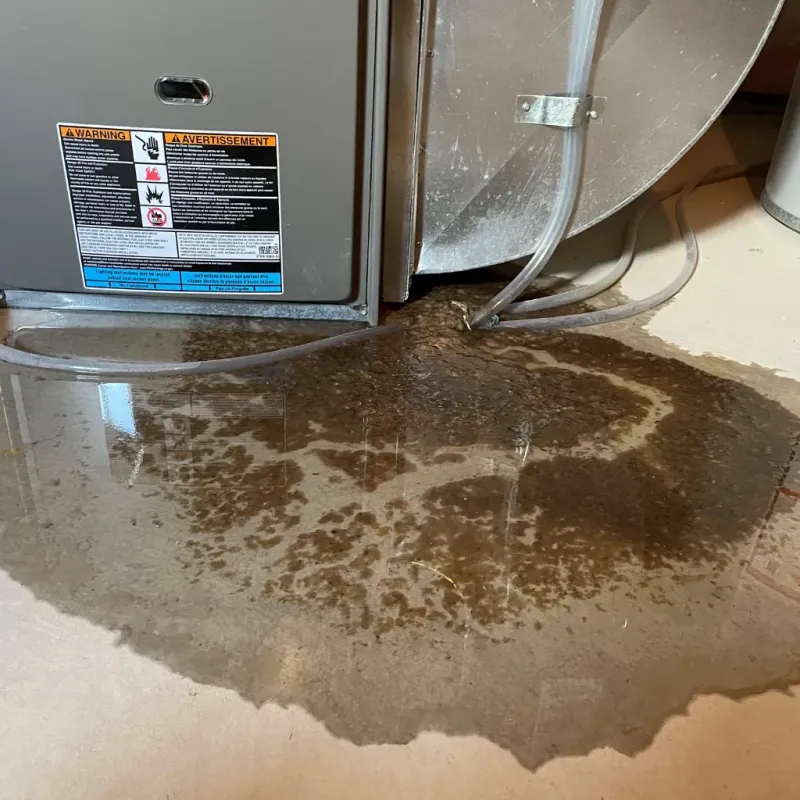 Appliance Leak Cleanup in Ewa Villages, HI