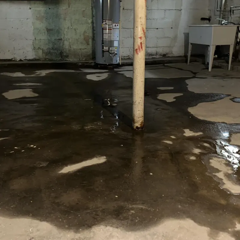 Emergency Water Extraction And Removal in Ewa Villages, HI